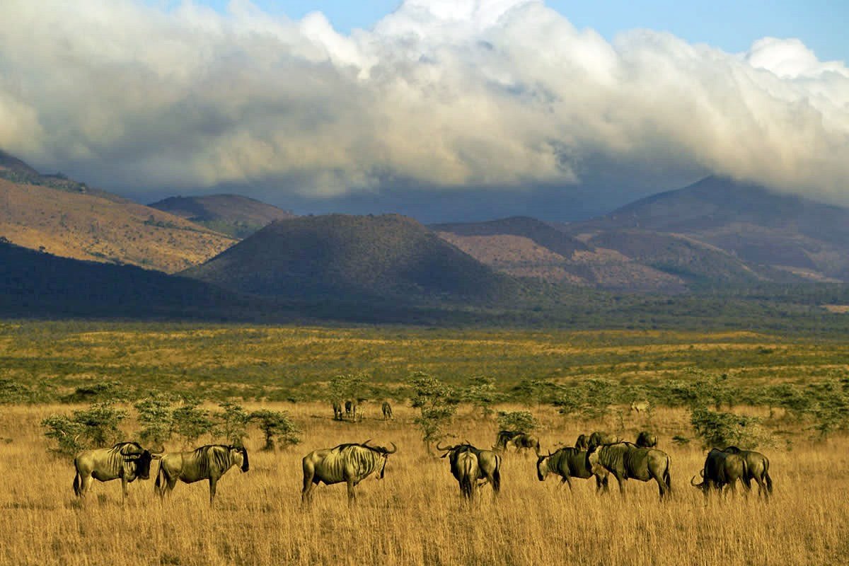Ol Donyo Lodge en Amboseli