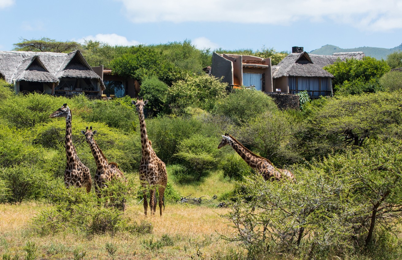Ol Donyo Lodge en Amboseli