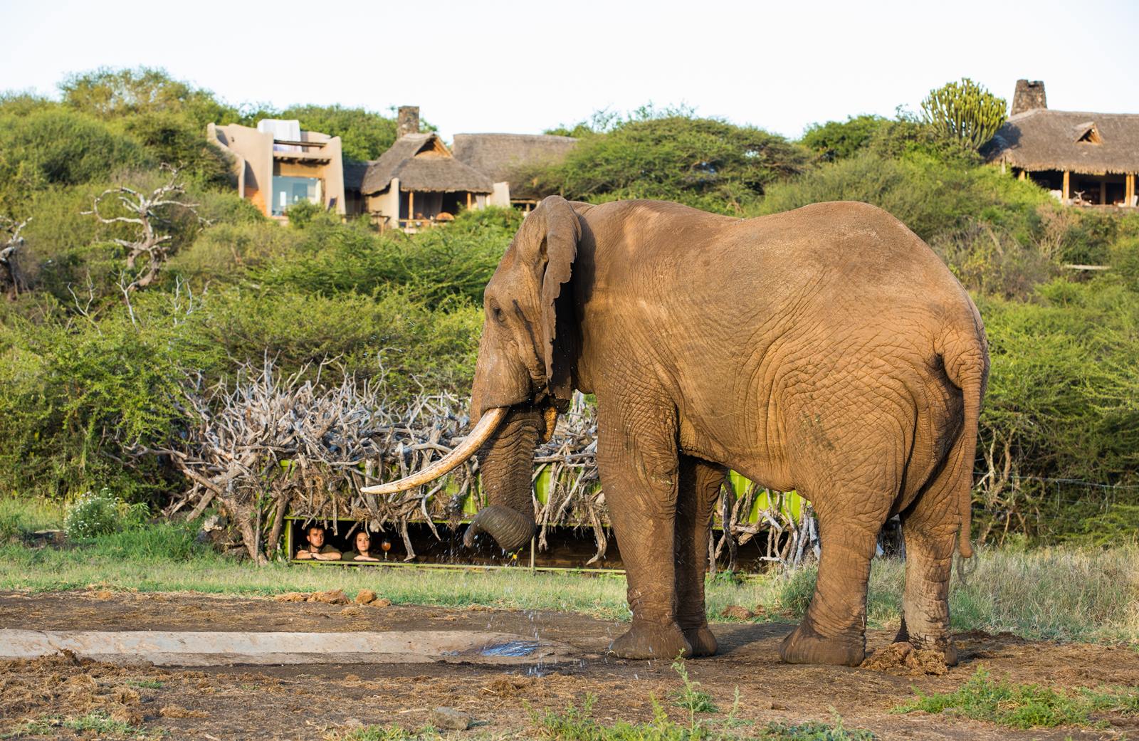 Ol Donyo Lodge en Amboseli