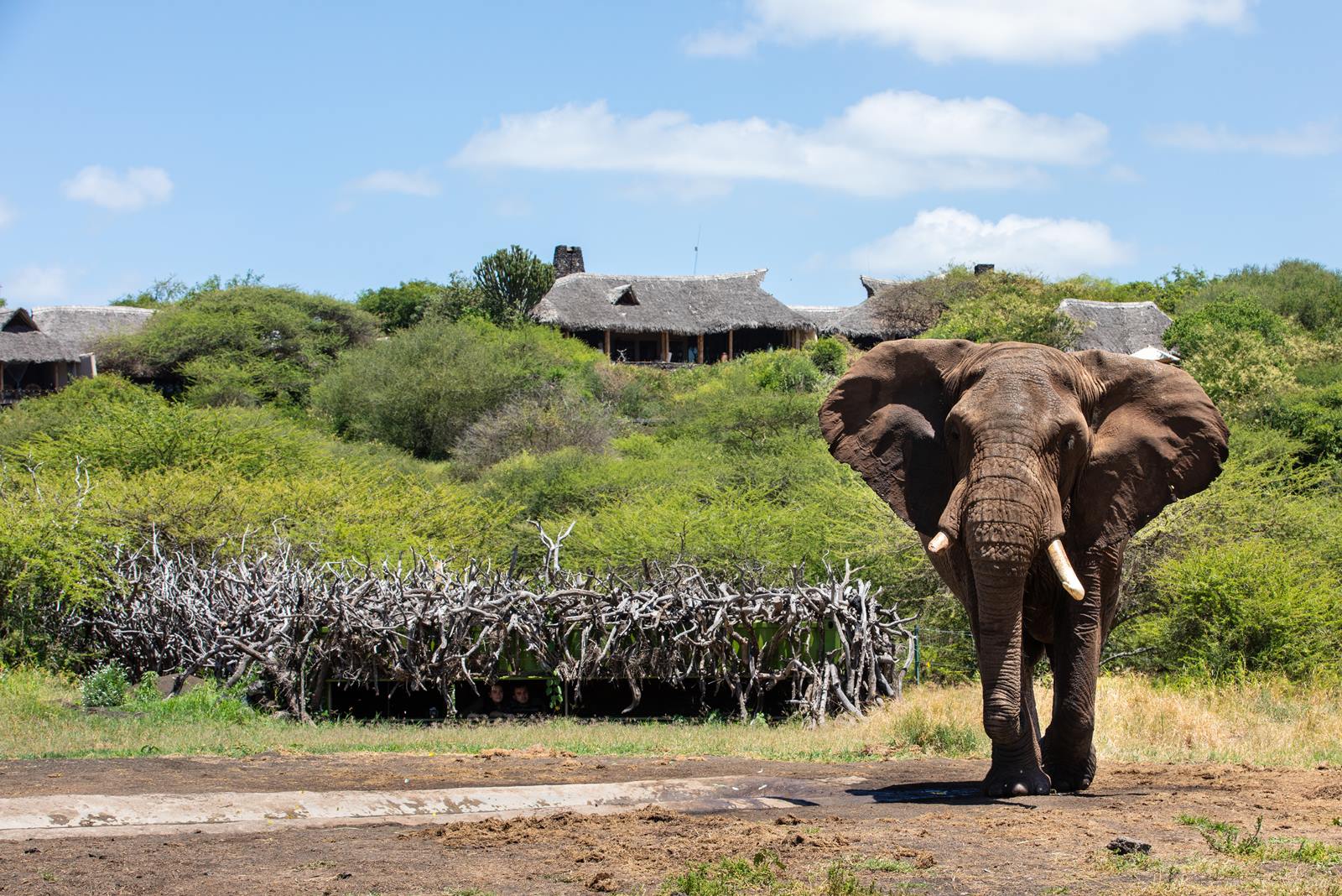 Ol Donyo Lodge en Amboseli