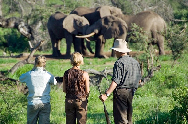 Ol Donyo Lodge en Amboseli