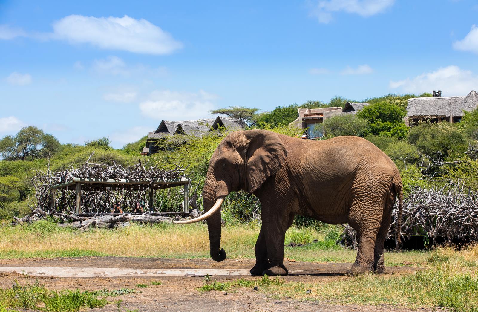 Ol Donyo Lodge en Amboseli