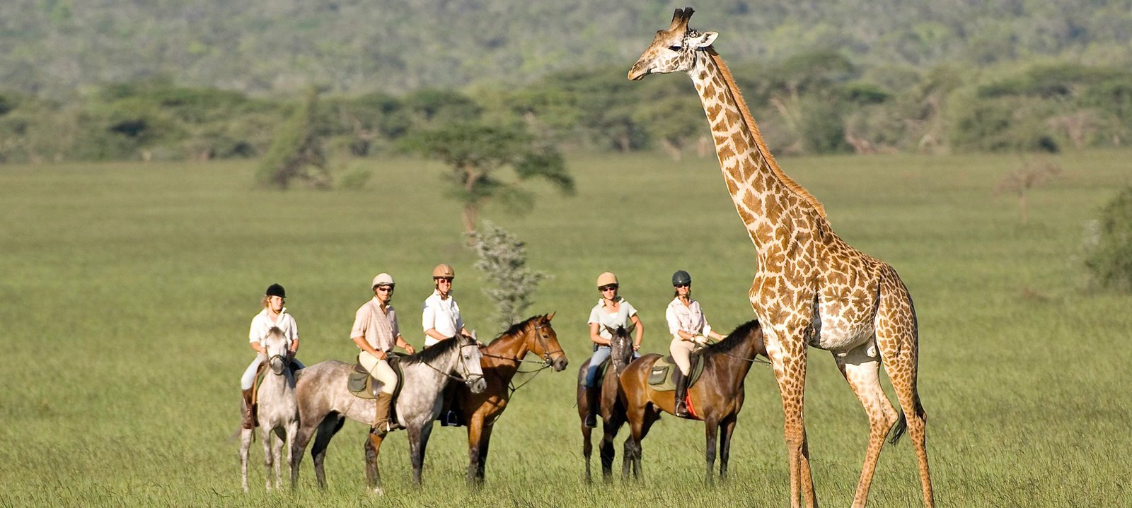 Ol Donyo Lodge en Amboseli