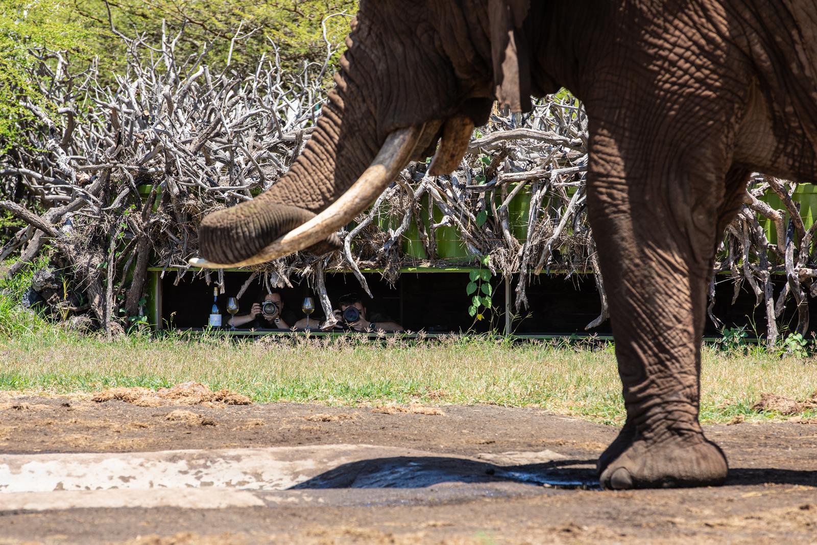 Ol Donyo Lodge en Amboseli