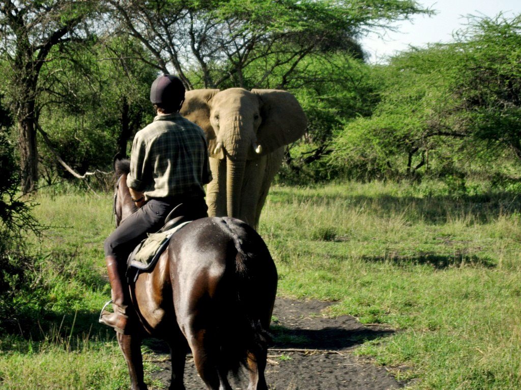 Ol Donyo Lodge en Amboseli