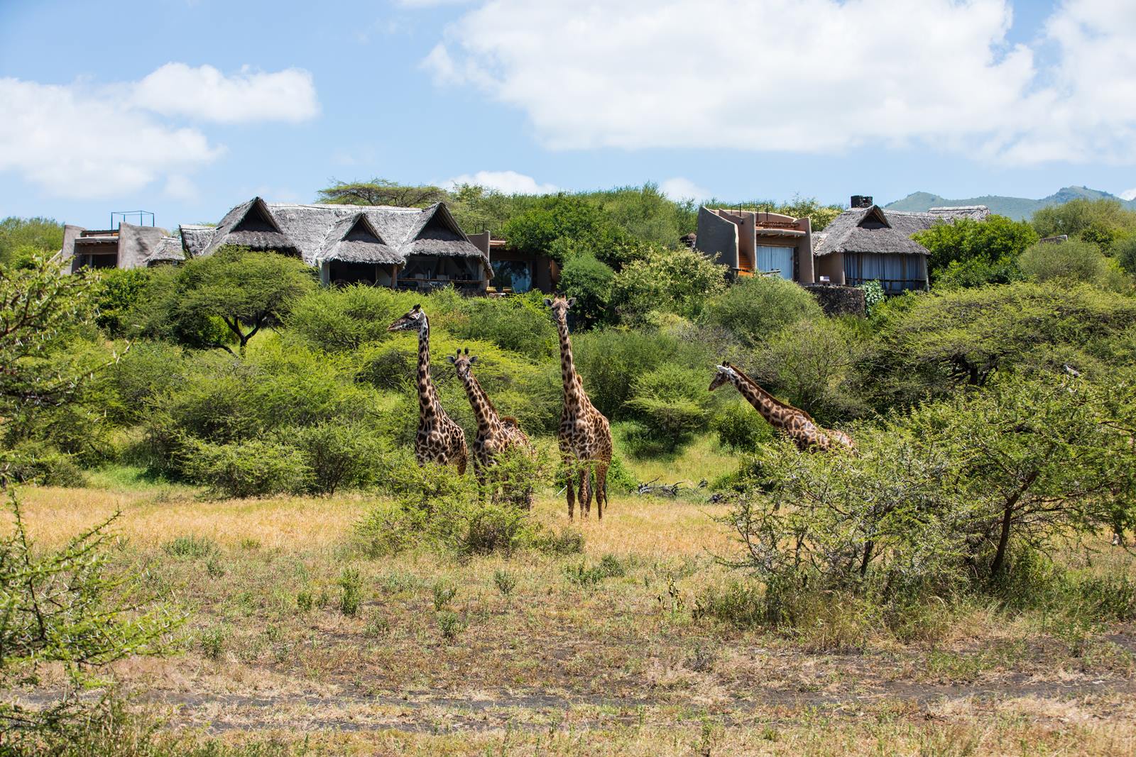 Ol Donyo Lodge en Amboseli