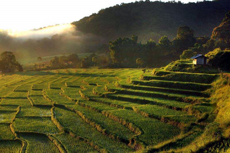 Chiang Mai | LAT.40