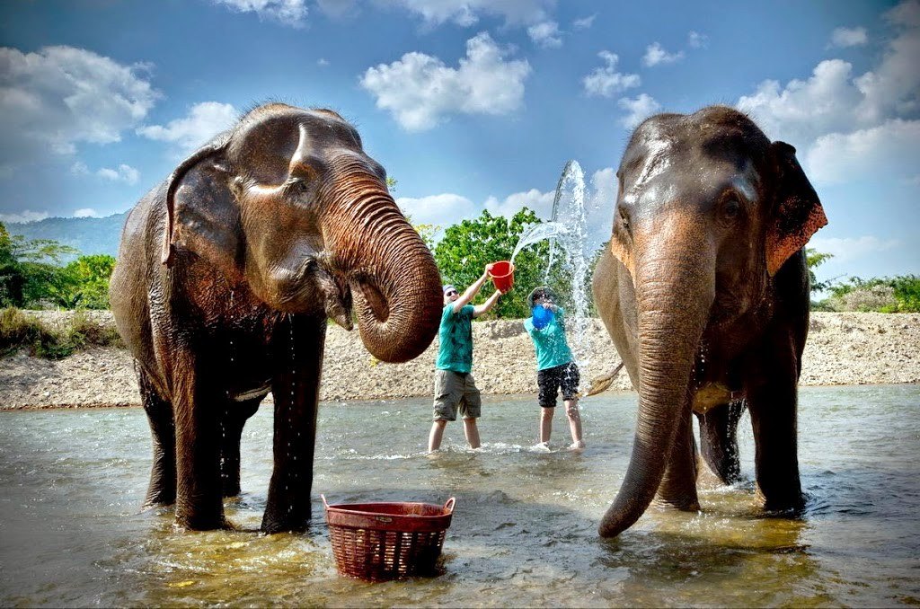 Chiang Mai | LAT.40