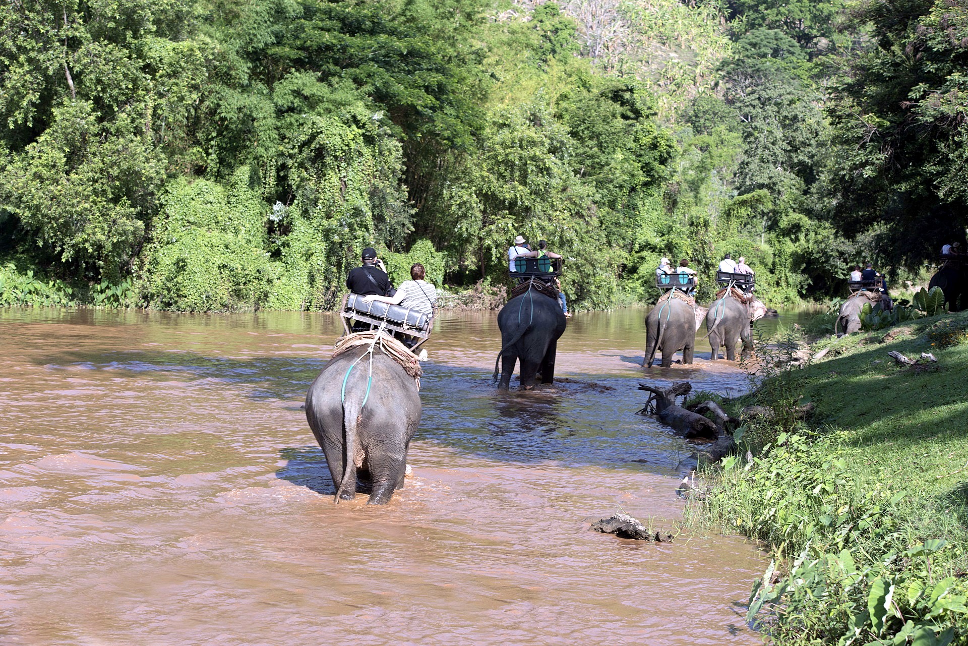 Cuevas Chiang Dao en elefante