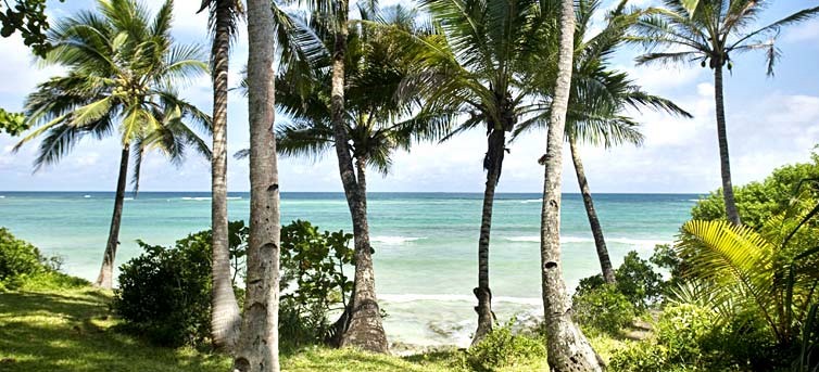 Viaje a Dubai, Lamu y Diani Beach diseñado por LAT.40