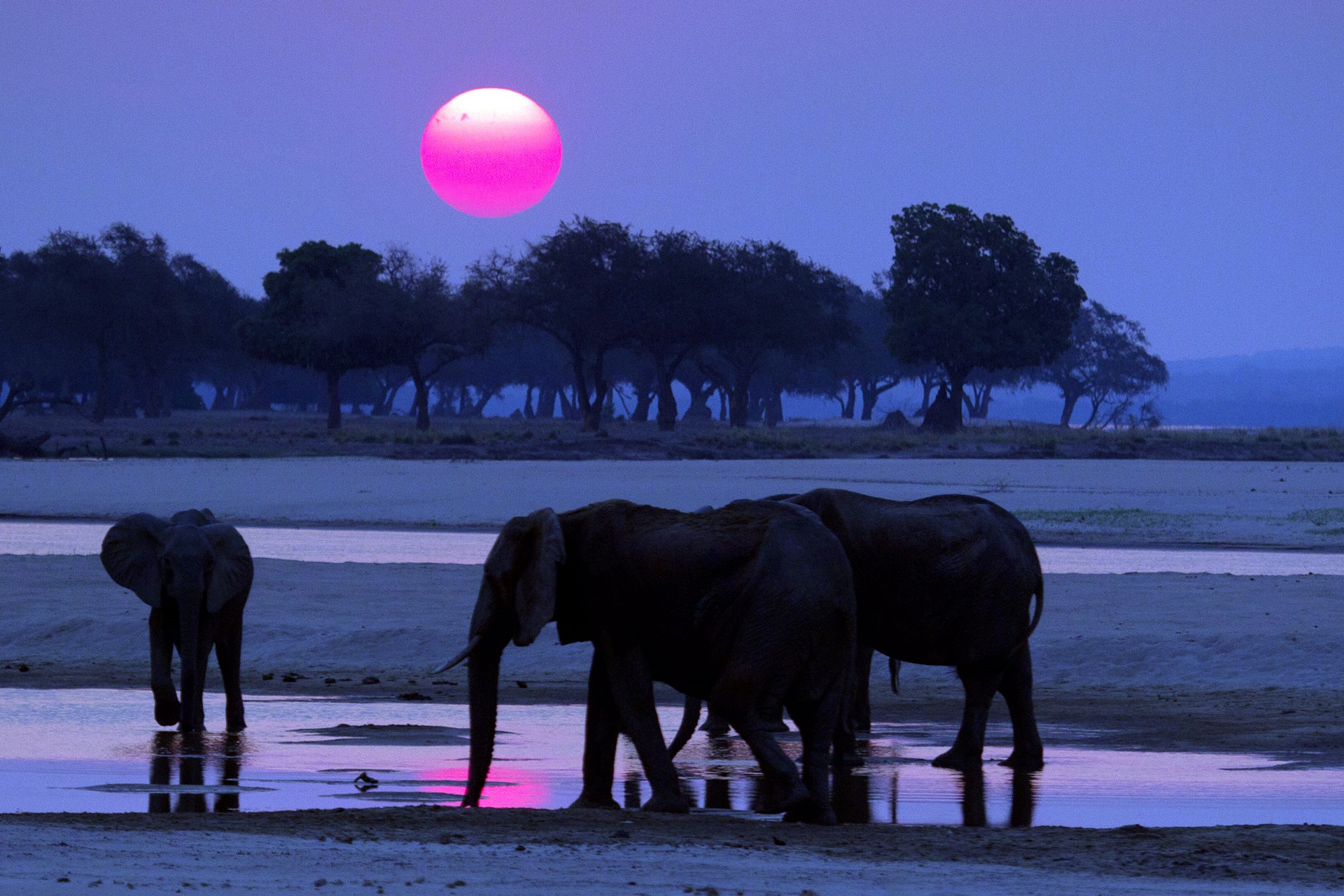 Mana Pools