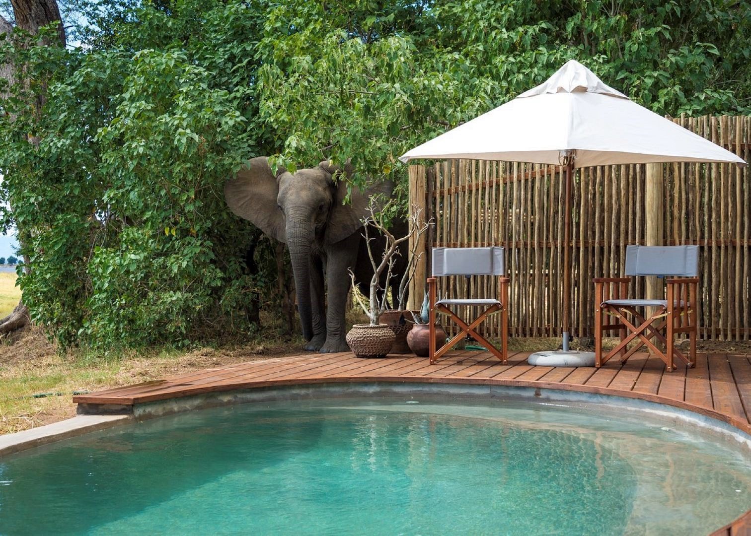 Mana Pools | LAT.40