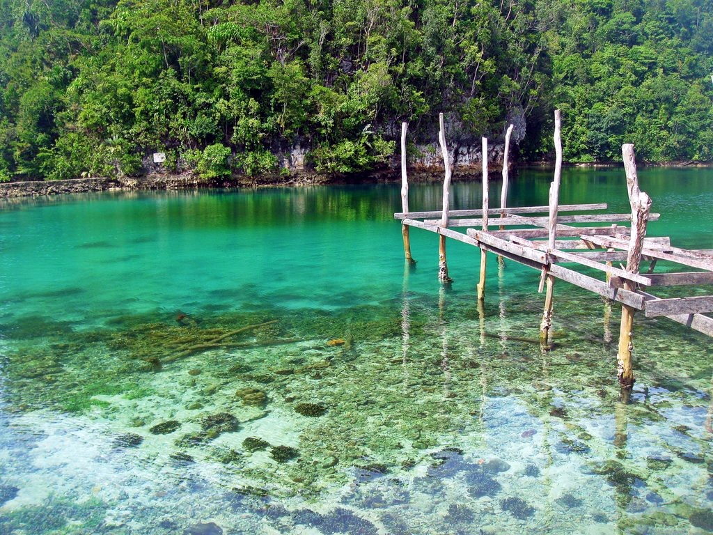Siargao | LAT.40