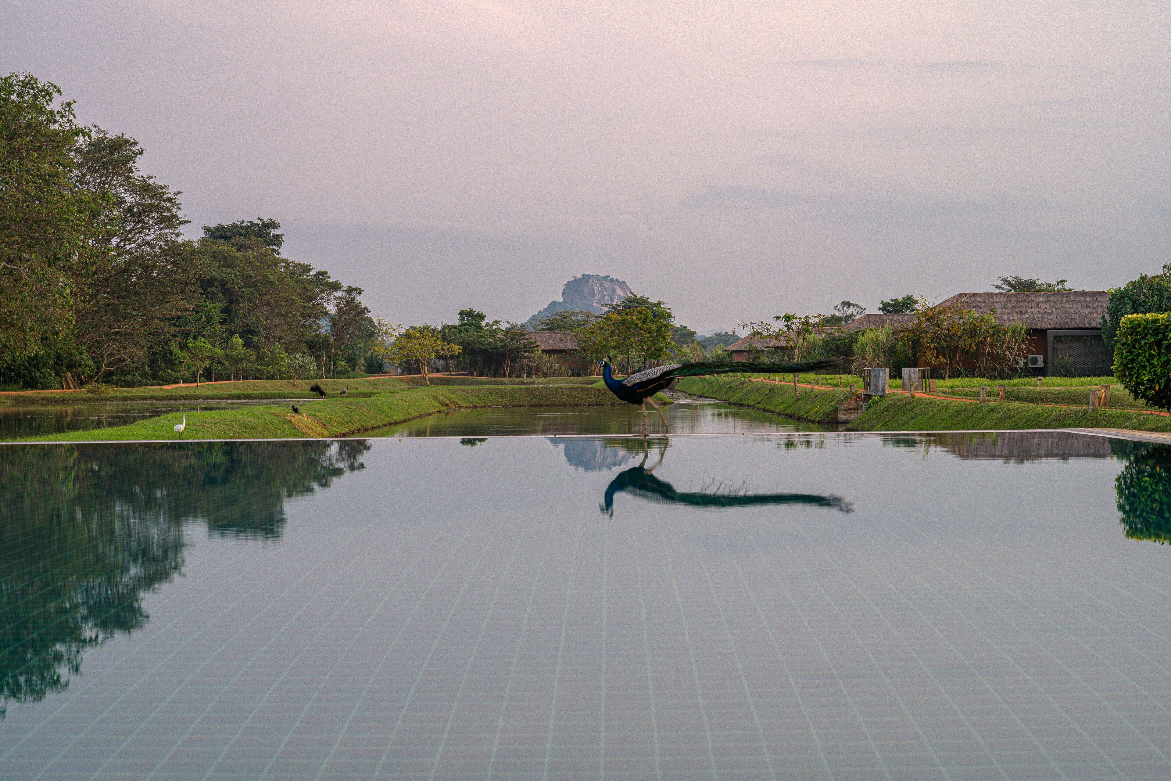 Water Garden Sigiriya