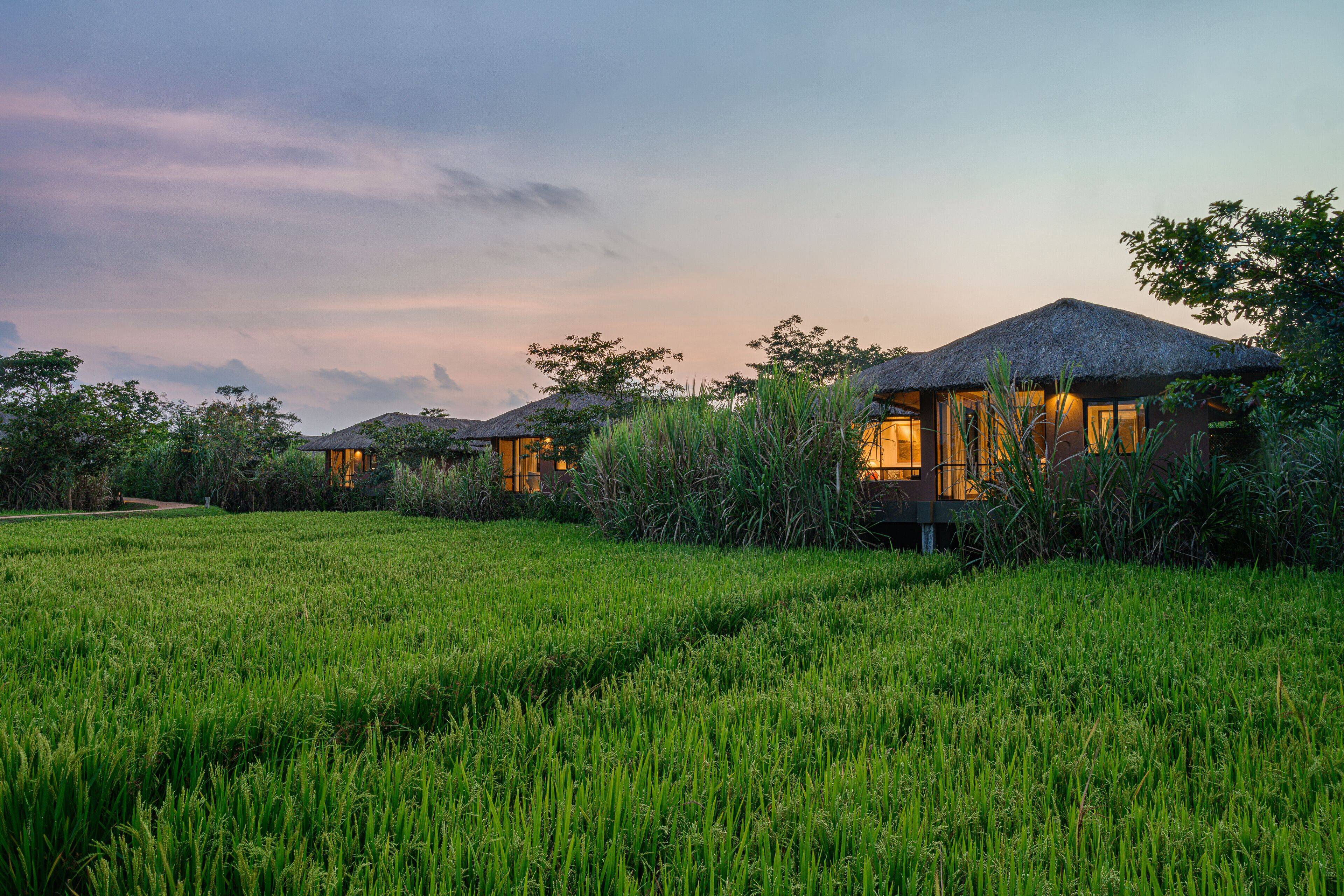Water Garden Sigiriya