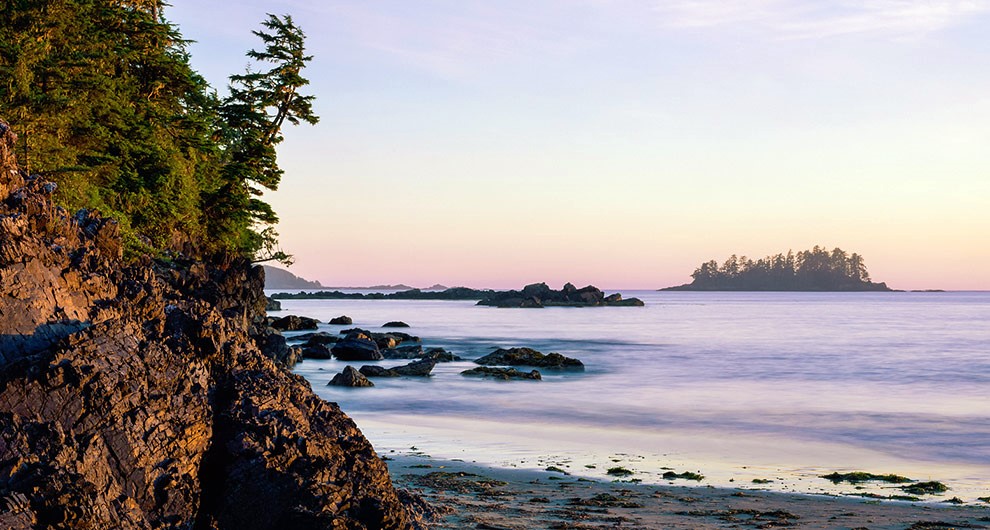 Tofino