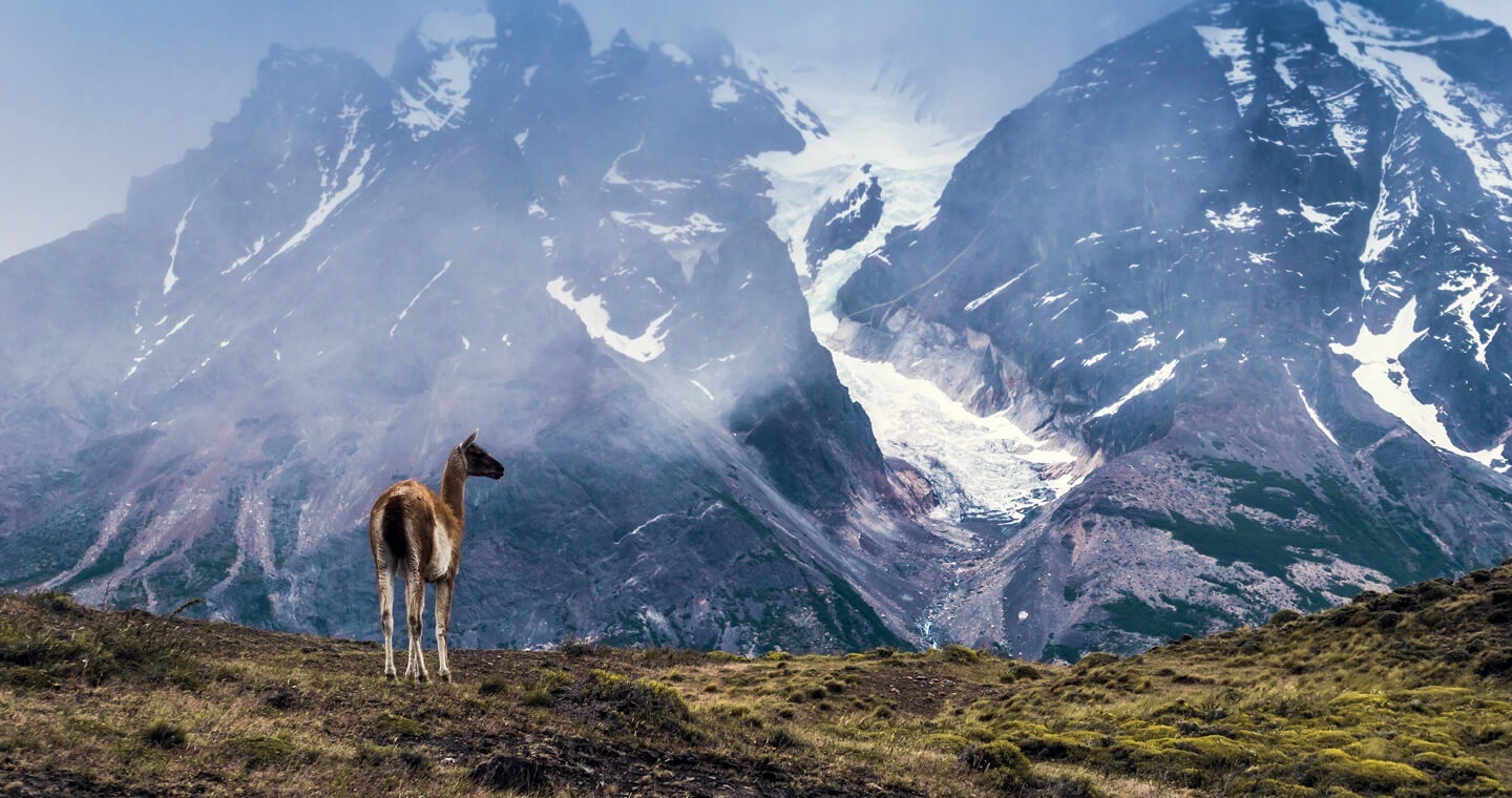 Torres del Paine