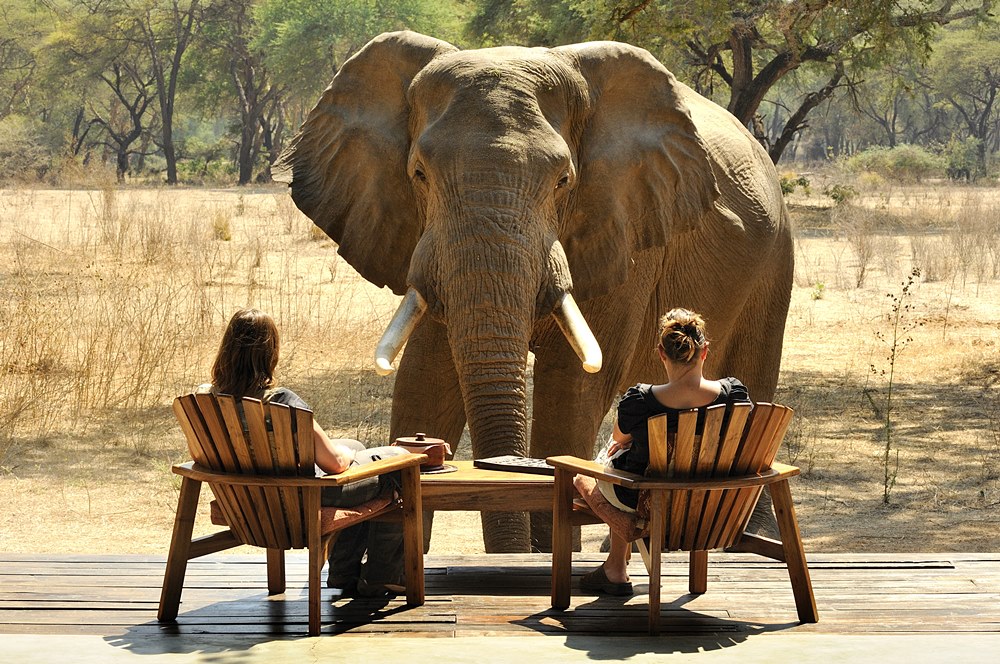 Old Mondoro Bush Camp en Lower Zambezi