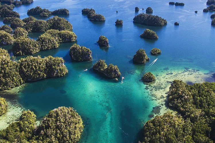 Sorong | LAT.40