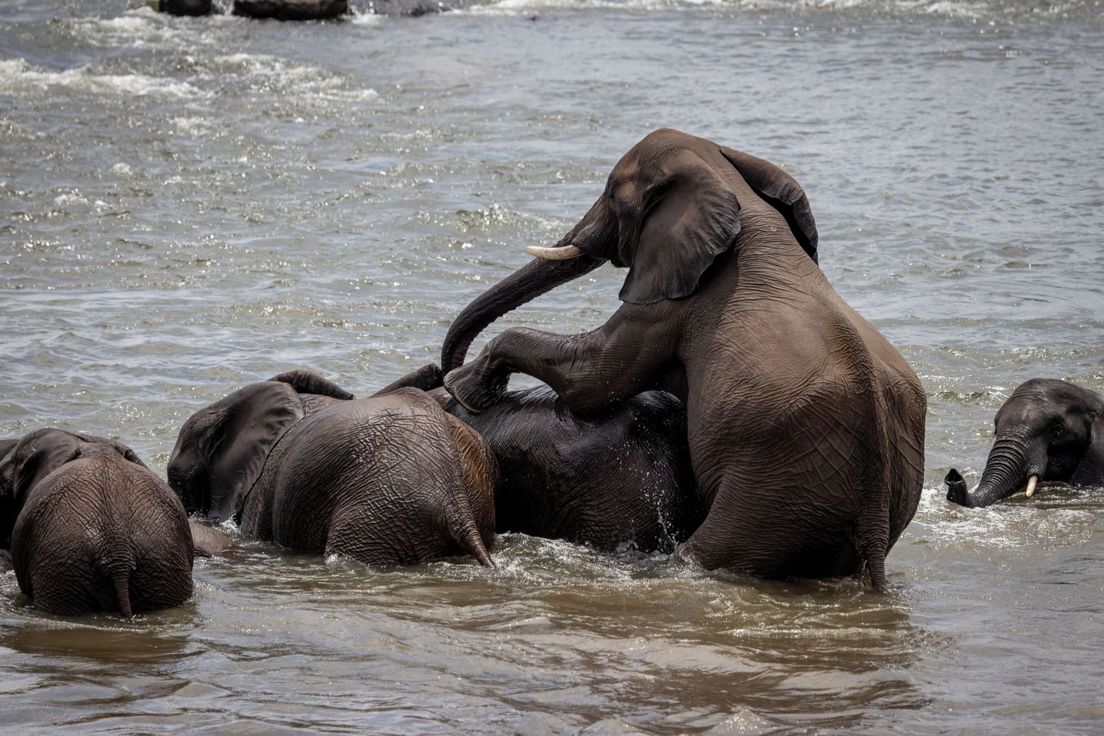 Chundu Island en Victoria Falls