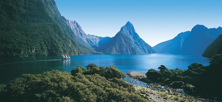 Fiordland | LAT.40