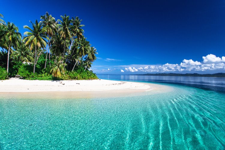 Islas Mentawai | LAT.40