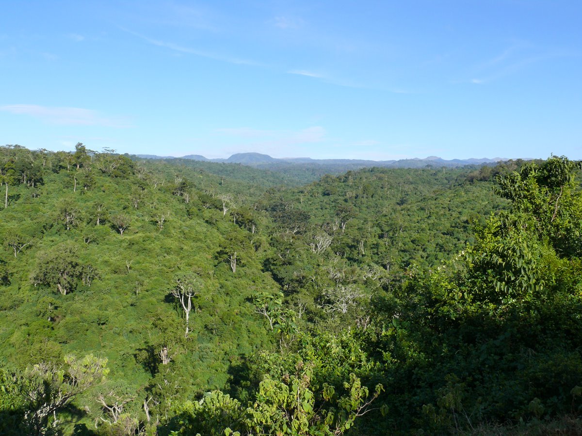 Imagen de viaje LAT.40