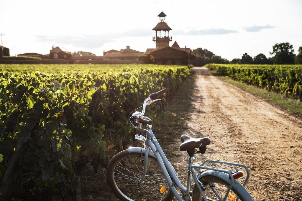 Les Sources de Caudalie en France