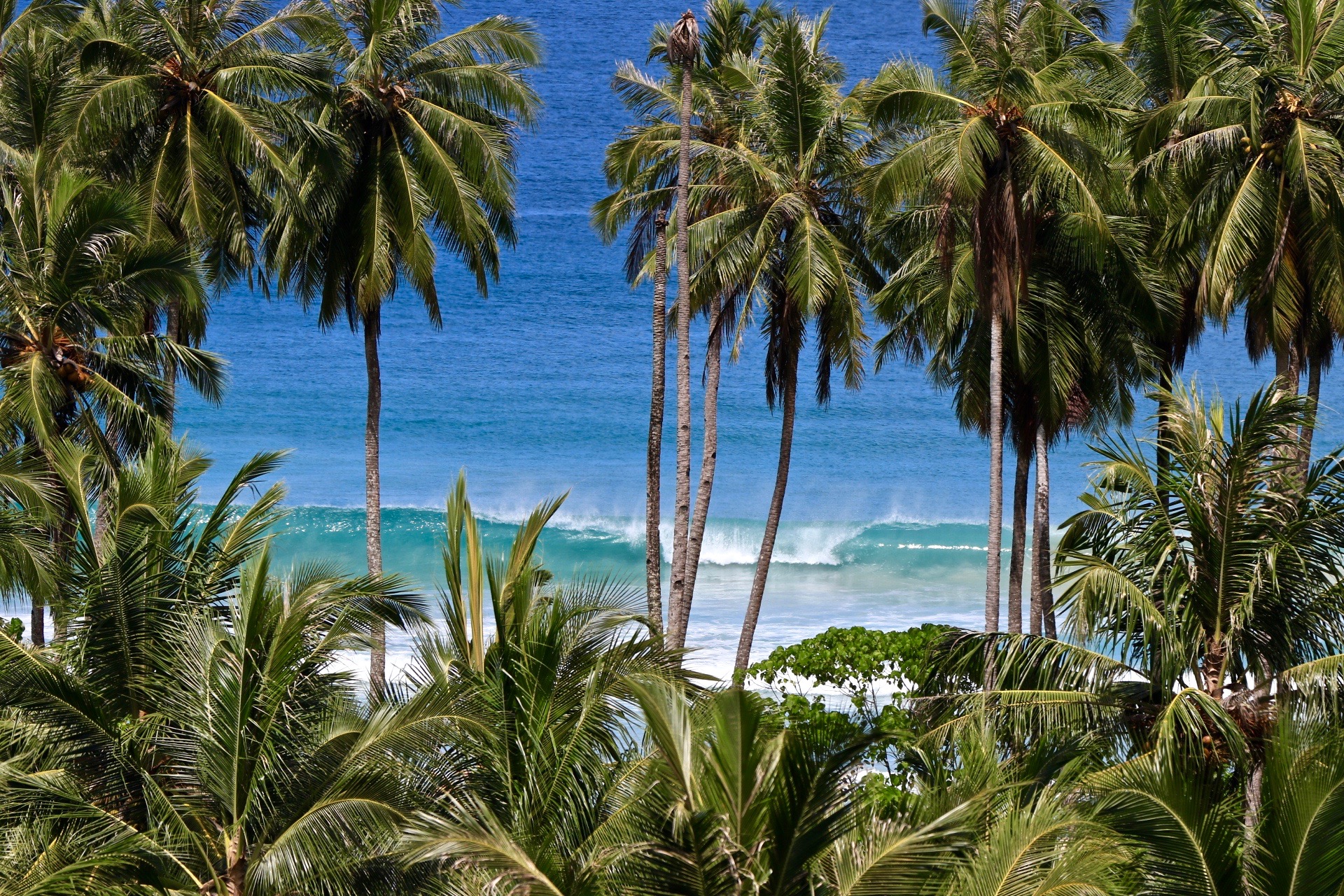 Hollow Tree's Resort en Islas Mentawai