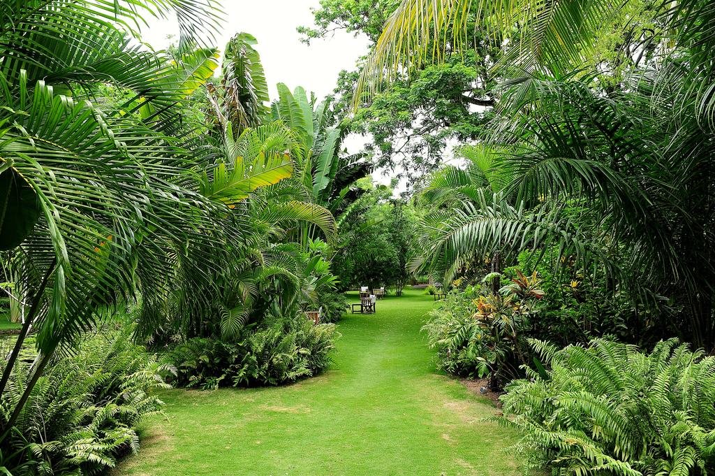 Anjajavy Le Lodge en Madagascar