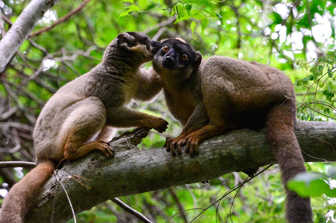 Anjajavy Le Lodge en Madagascar
