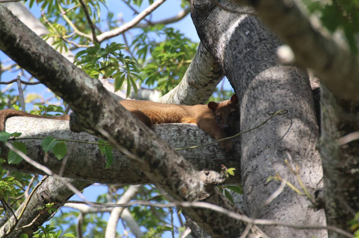 Anjajavy Le Lodge en Madagascar