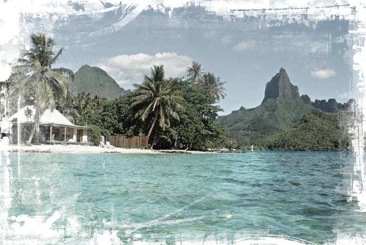 Robinson's Cove Villas en su destino
