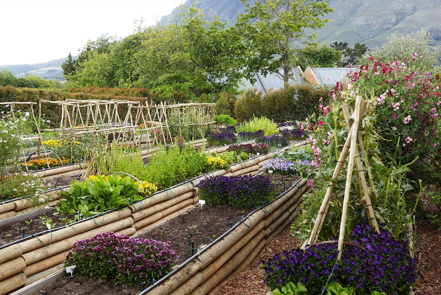 Delaire Graff Estate en South Africa
