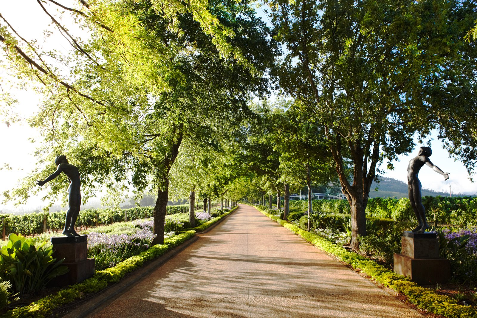 Delaire Graff Estate en South Africa