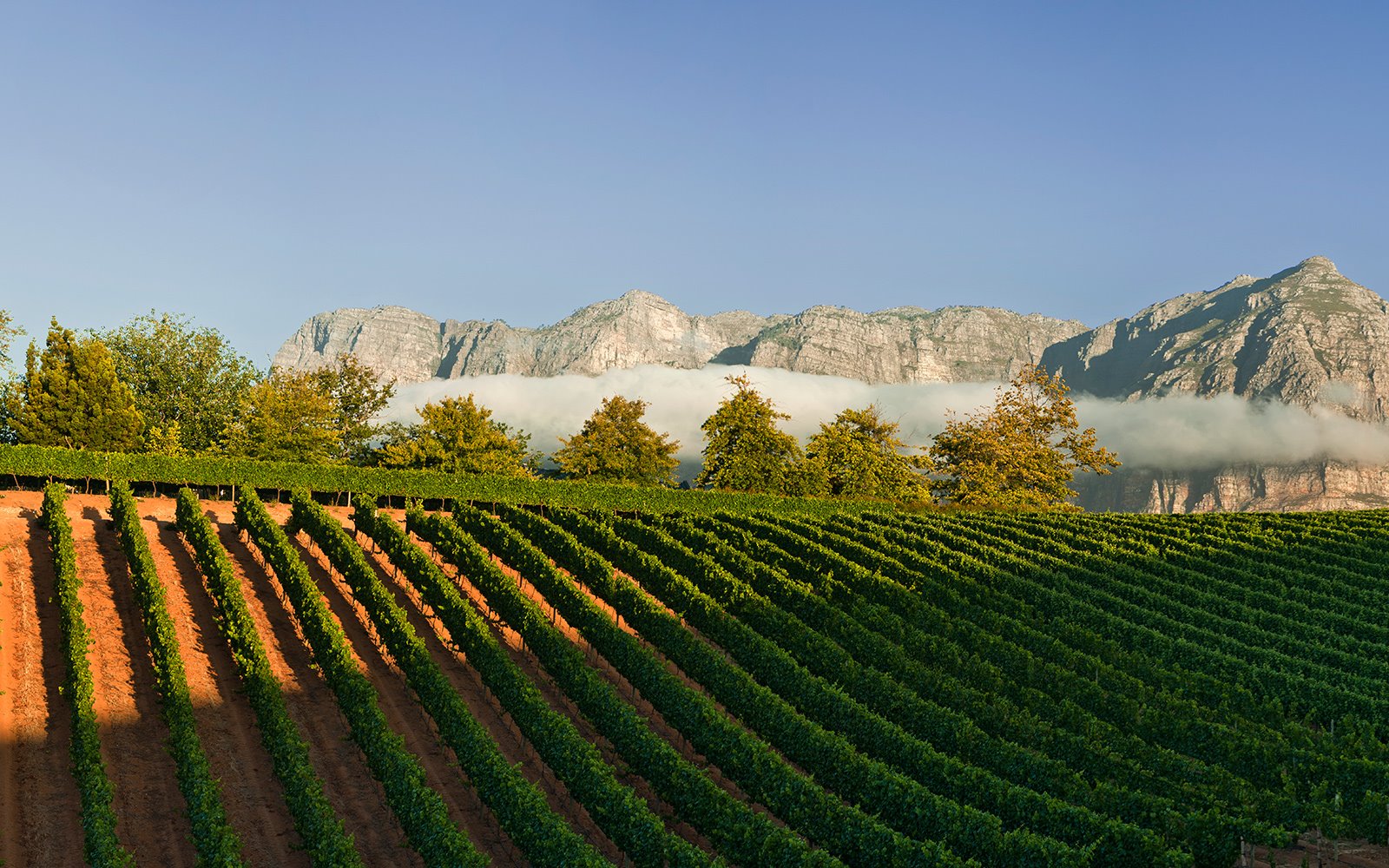 Delaire Graff Estate en South Africa