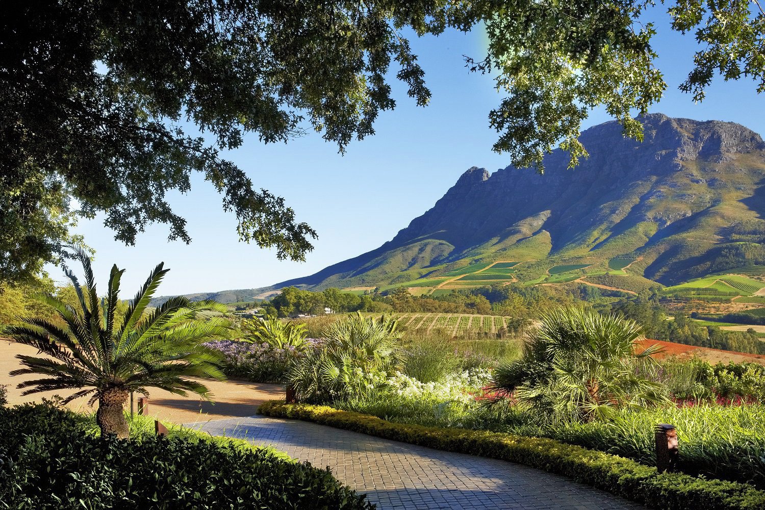 Delaire Graff Estate en South Africa