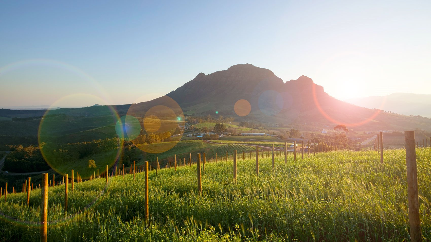 Delaire Graff Estate en South Africa