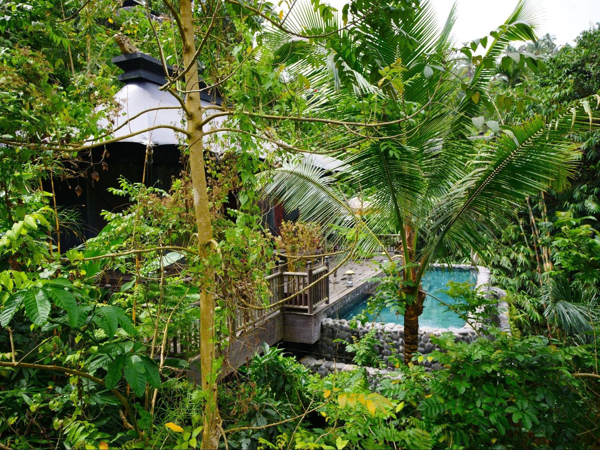 Capella Ubud en Ubud