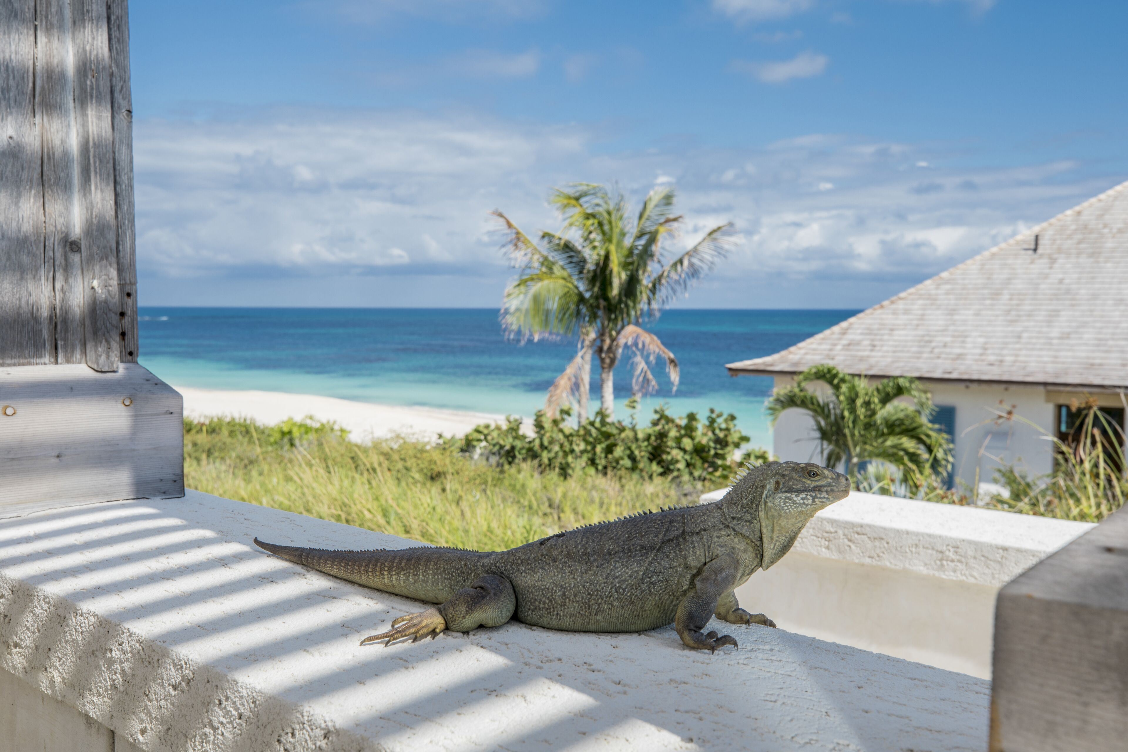 Ambergris Cay - All Inclusive en Ambergris Cay