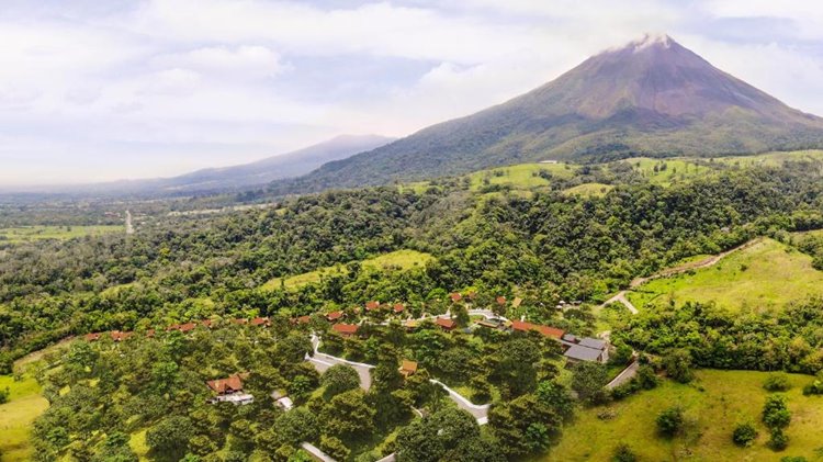Amor Arenal en su destino