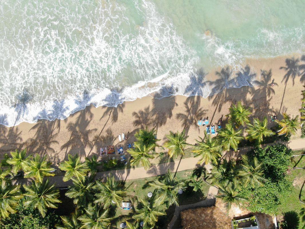 El Mosquito Boutique Hotel en Las Terrenas