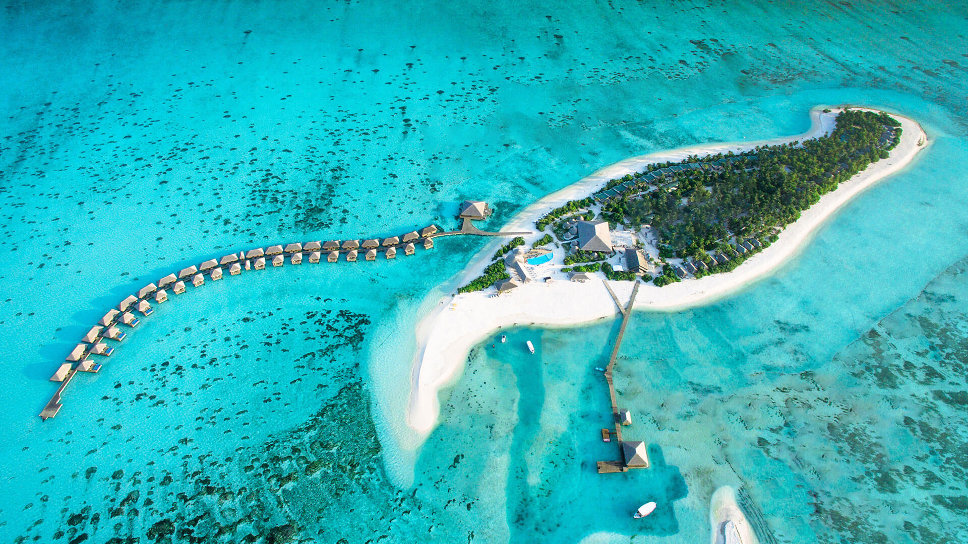 Cocoon Maldives en Maldivas