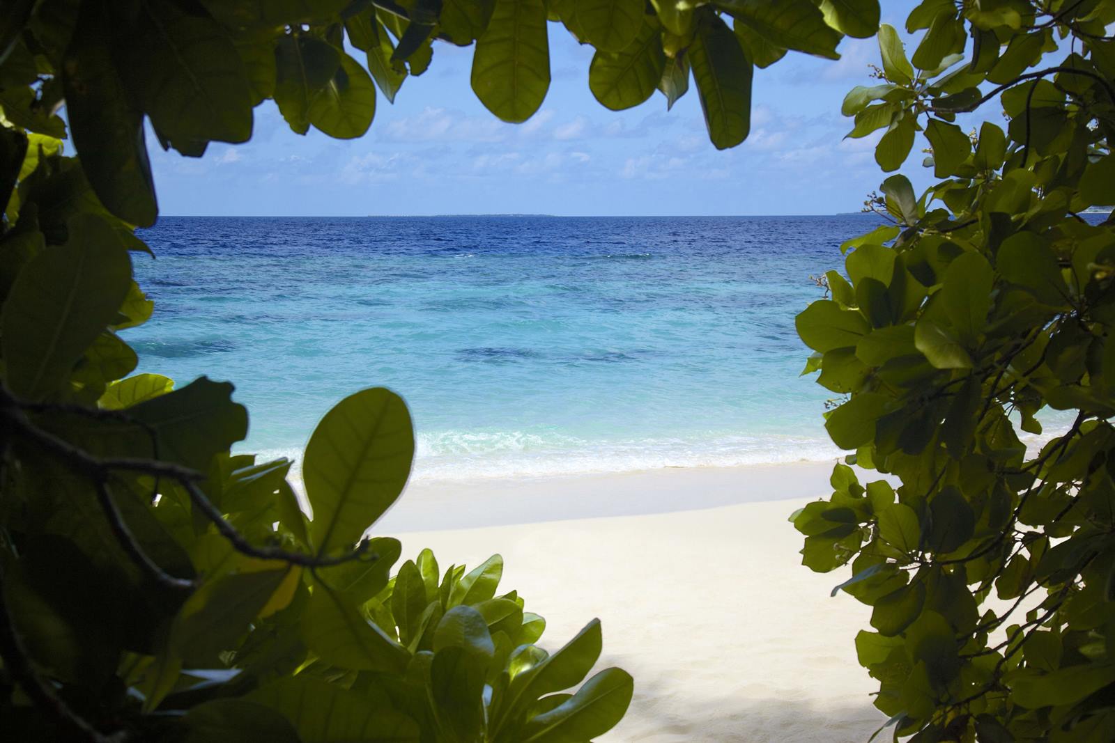 Dusit Thani Maldives en Maldivas