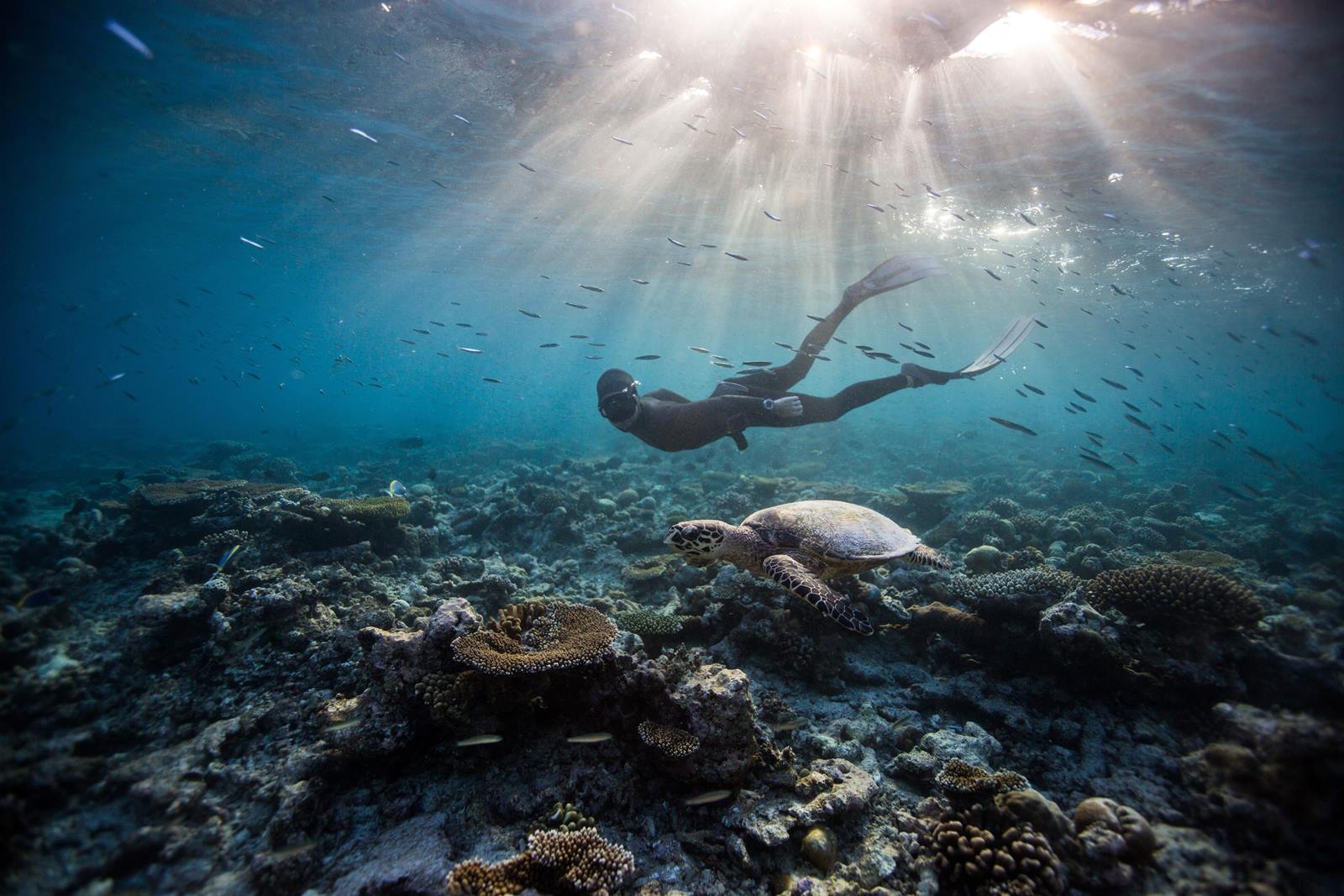 Dusit Thani Maldives en Maldivas