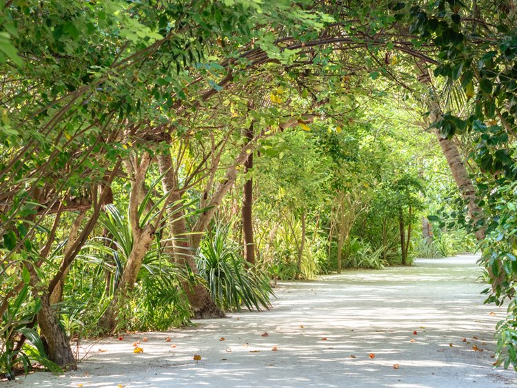 Summer Island Maldives en Maldivas