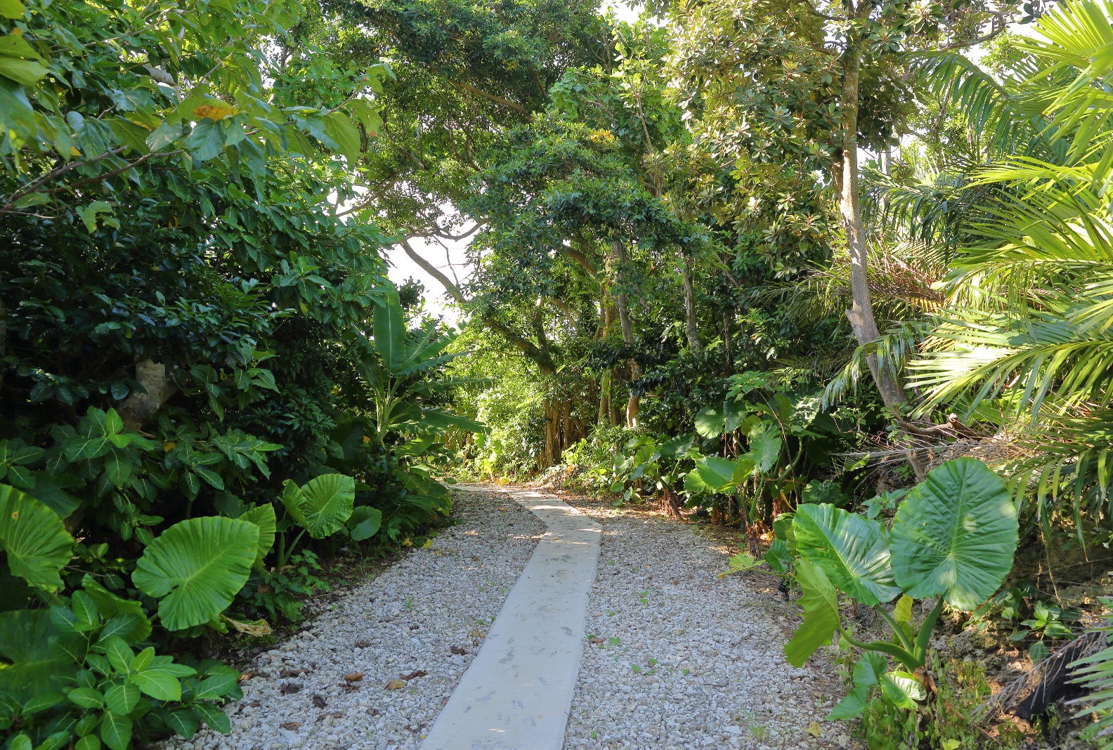 Jusandi en Okinawa