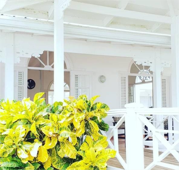 Todoblanco en Las Galeras