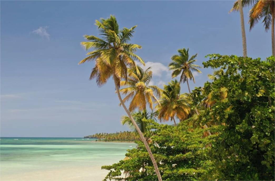 Todoblanco en Las Galeras