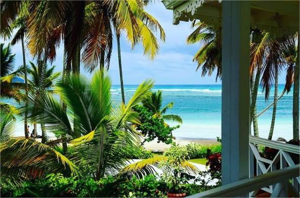 Todoblanco en Las Galeras